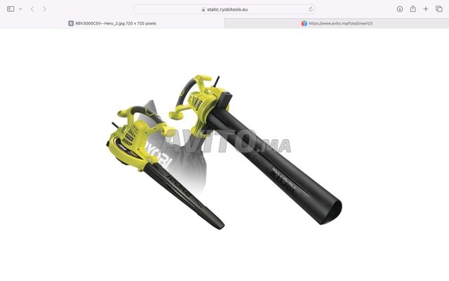 Souffleur-aspiro-broyeur RYODI 3000w