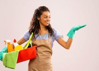 Agence Femme de ménage cuisinière nounou 