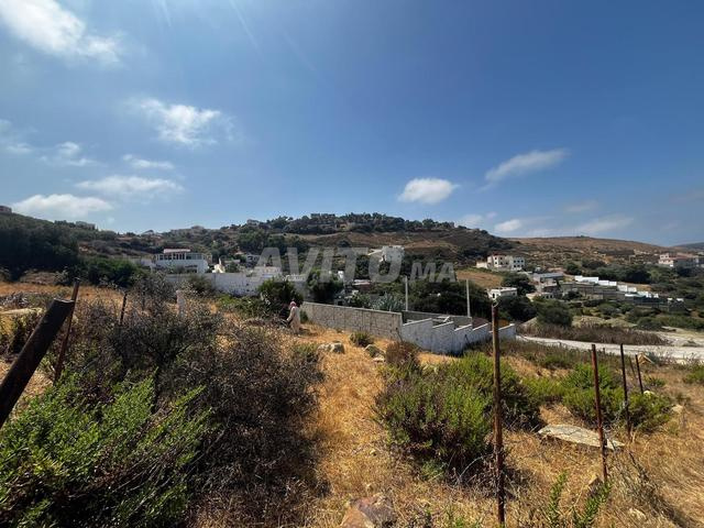 terrain à vendre de 503m² à sidi kankouch 
