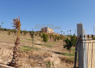 villa et ferme a ben maachou