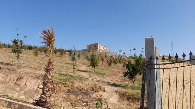 villa et ferme a ben maachou