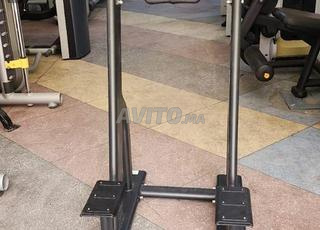 Banc Dips professionnels