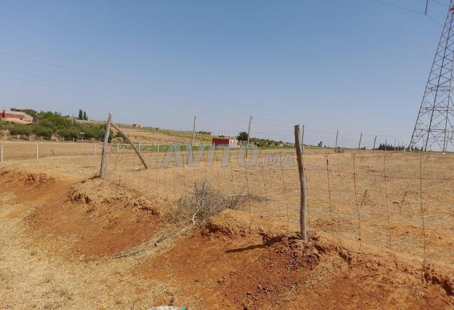 ارض فلاحية محفضة قرب الطريق الرؤيسية - 2