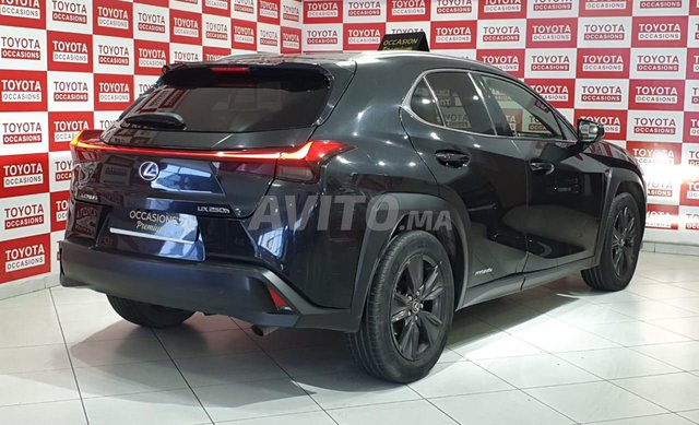 Lexus ux occasion Hybride Modèle 