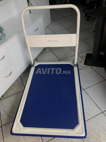 chariot en promo 150kg/300kg - 2