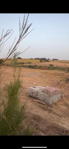 ارض محفضة 4000متر 1كم قبل بحراوي  - 2