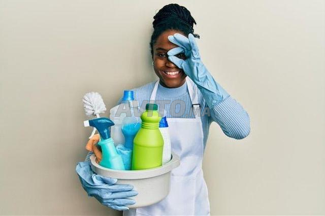 Agence Femme de ménage cuisinière nounou 