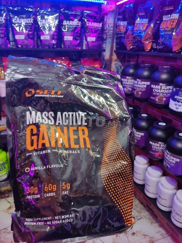 Mass Active Gainer 