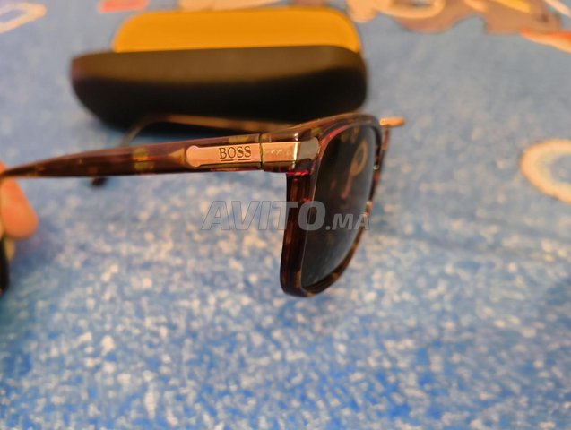 lunette Boss Carrera Original