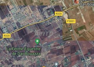 terrain a vendre a dar bouazza