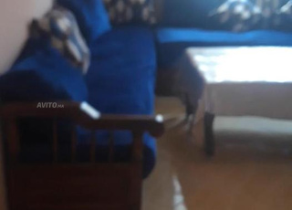 شقه للكراء  اليومي 200درهم بحي الفرح اكادير