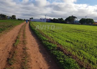 Terrain 500 ou 1000 m2 près Tamaris II Rte Azmour 
