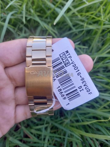 CASIO MTP-VD01G-9EVUDF HOMME ORIGINAL NEUF