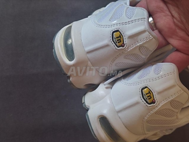 Nike Air Max Plus  