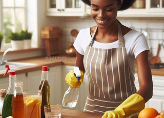 Agence Femme de ménage cuisinière nounou 