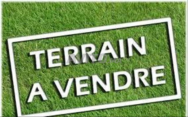 Terrain 2,5  Ha zone B4 à vendre à Ouled salah