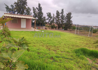 Ferme titrée 1.3 hectares 