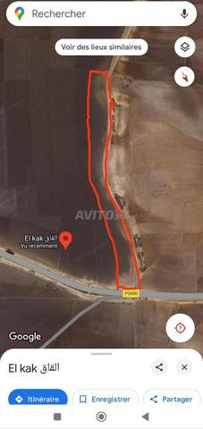 Trois hectares agricoles titrés et fertiles à L' اثنين الغربية