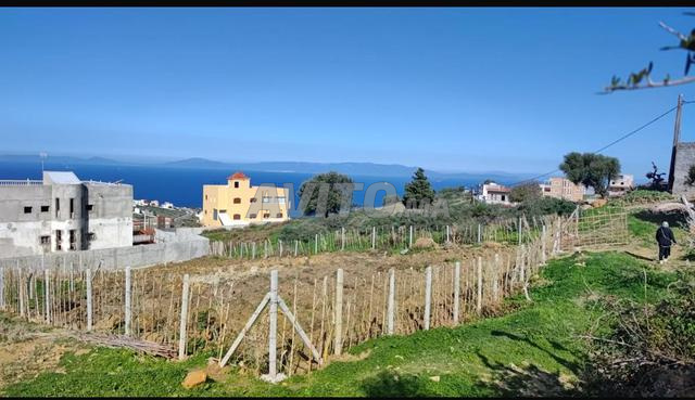 Terrain a vendre a diki ksar sghir
