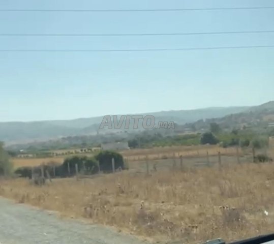 Terrain à Khmis Anjra sur la voie principale