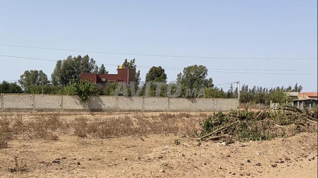 أرض محفضة 8000متر 12كم من بحراوي