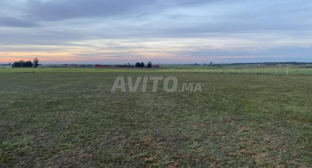 ارض على الشارع 7500متر ممتازة وسط الفيرمات 