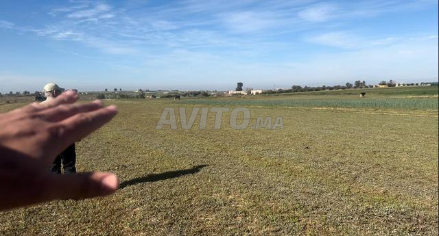 ارض 7500متر على الشارع ممتازة وسط الفيرمات 