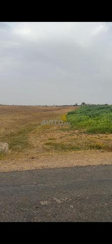 ارض 5000متر محفضة على الشارع 10كم من بحراوي