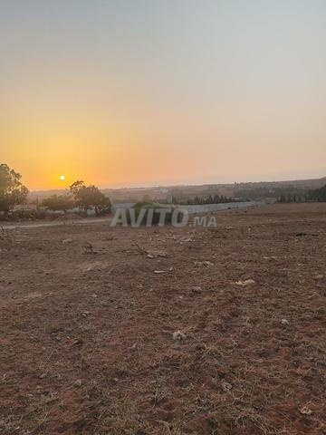 Terrain agricole