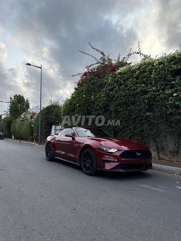 Ford mustang_cabriolet occasion Essence Modèle 