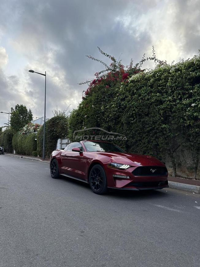 Ford mustang ecoboost premium convertible 