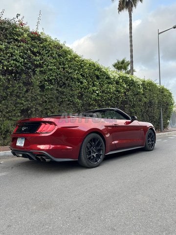 Ford mustang_cabriolet occasion Essence Modèle 