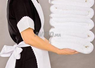 عاملة منزلية متعددة المهام