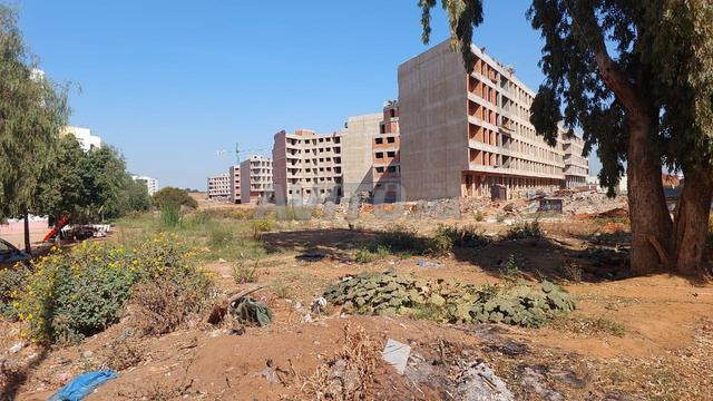 Ter titre 1ha R5 sala el jadida - 2