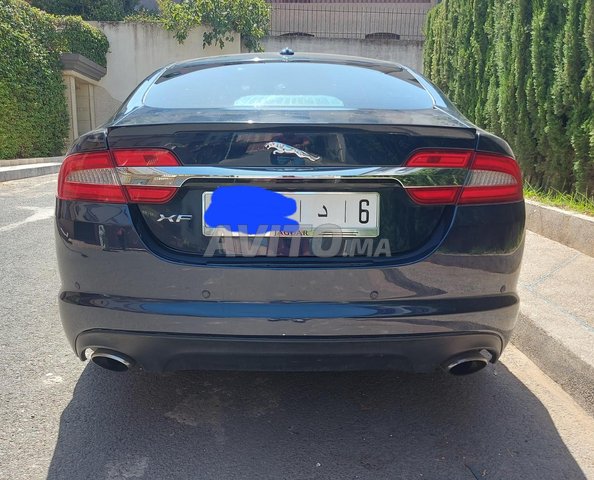 Jaguar XF occasion Diesel Modèle 