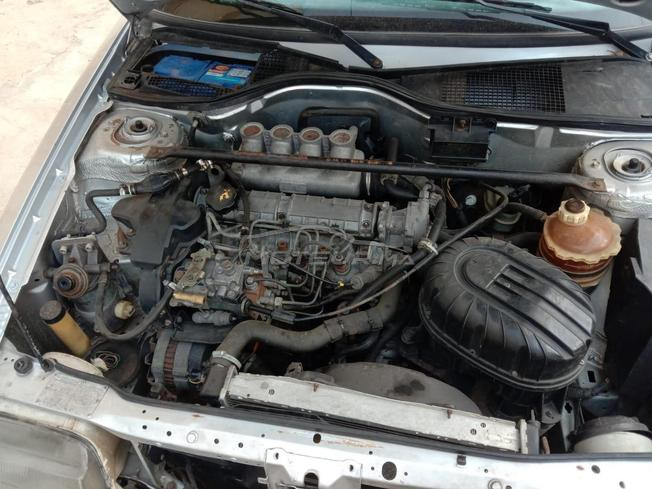 Renault 19 Diesel Manuelle 1991 à Tifelt