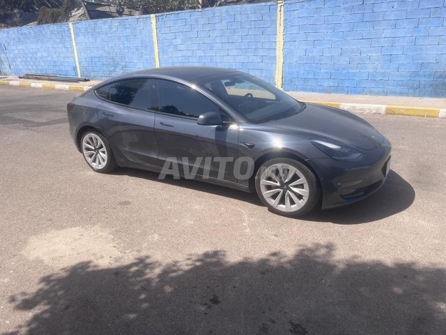 Tesla Model 3 occasion Electrique Modèle 