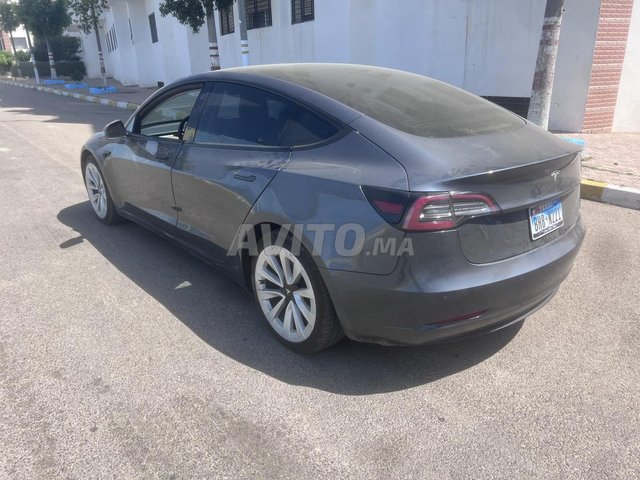 Tesla Model 3 occasion Electrique Modèle 