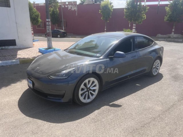 Tesla Model 3 occasion Electrique Modèle 