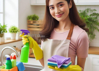 Agence (femme de ménage cuisinière nounou)