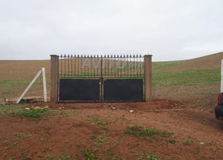 Terrain titre 5ha clôturé Khemisset