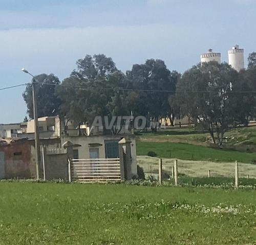 ارض 9000متر محفضة فيها دراسة بئر ( واد )