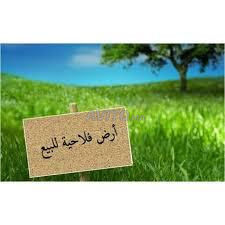 Terrain 65000m à vendre