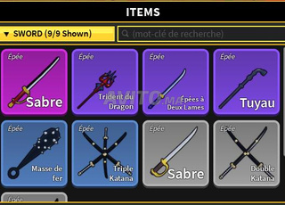 Compte Blox Fruit Maxer Level 2550