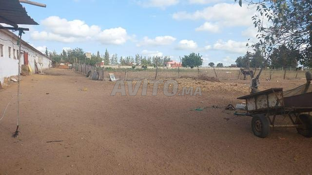 Ferme titrée 2ha Arjat salé