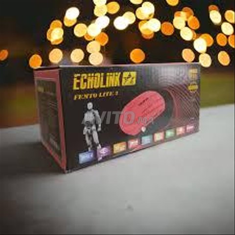 ECHOLINK FEMTO 2 LITE