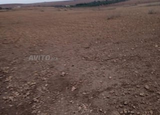 AVENDRE UNE TIRAN  TITRE AGRECOL DE 14 H  