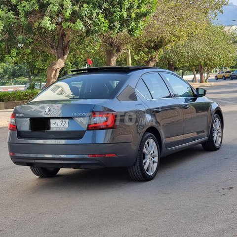 Skoda Octavia occasion Diesel Modèle 