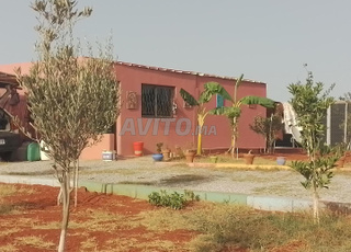 Terrain de 2500 m avec maisonnette 