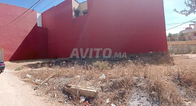 Terrain a Vendre à wifak